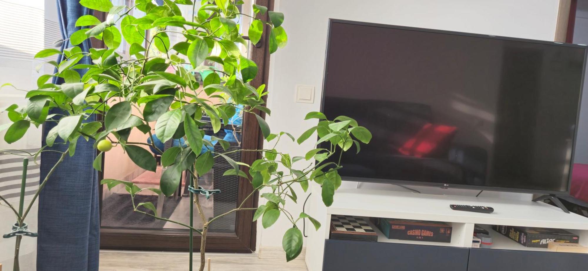 Littlebig Apartment Bukurešť Exteriér fotografie